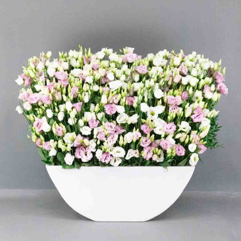 Nature Thrills Florals