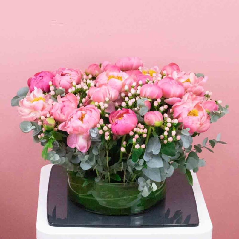 Exotixx  Flowers