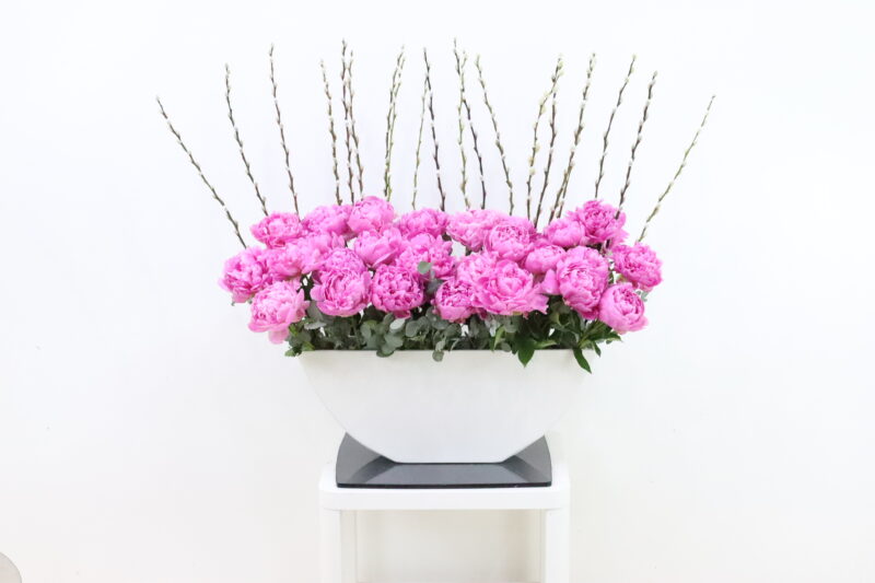 Blashing Blooms