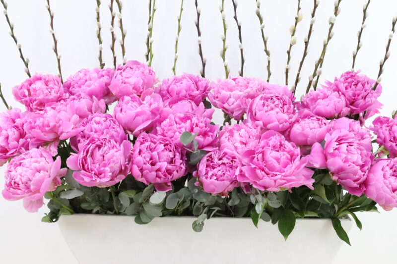Blashing Blooms - Image 2