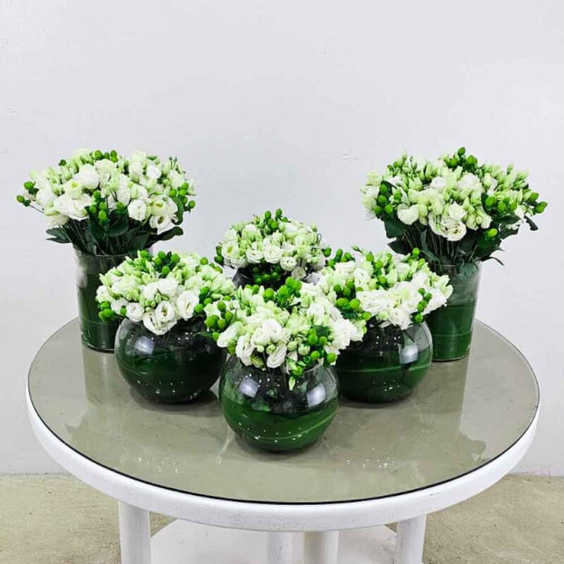 Lycyantus white flower setup