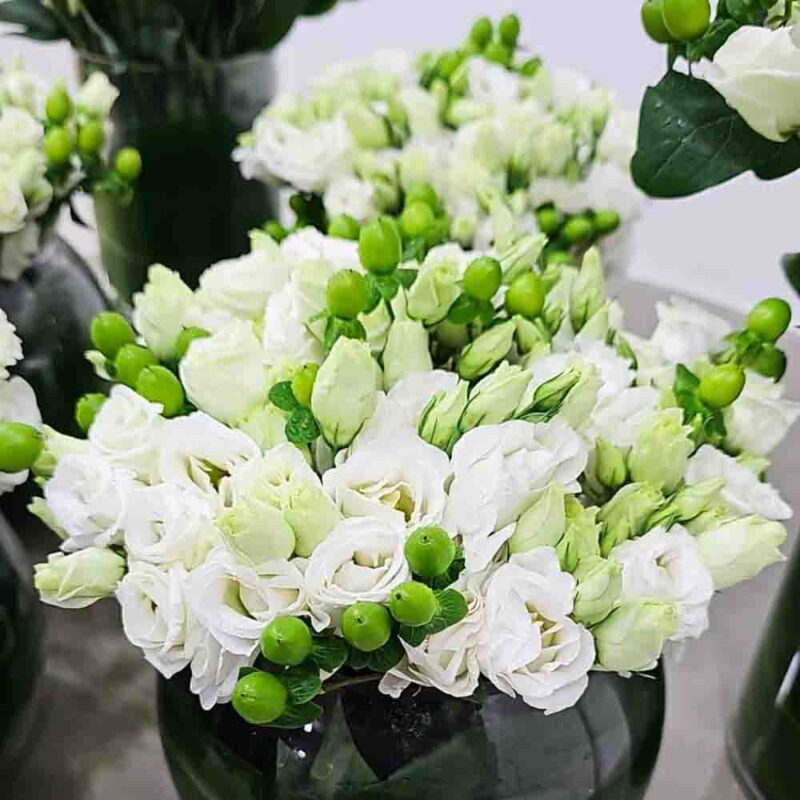 Lycyantus white flower setup - Image 2