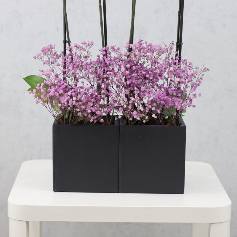 Purple Fantasy - Image 3