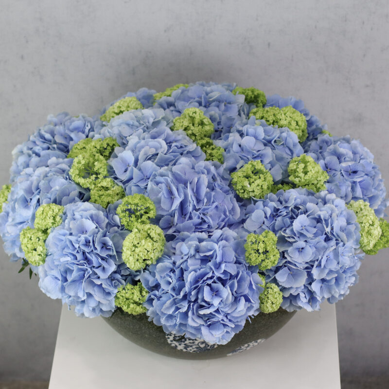 Blue Pearl - Image 2