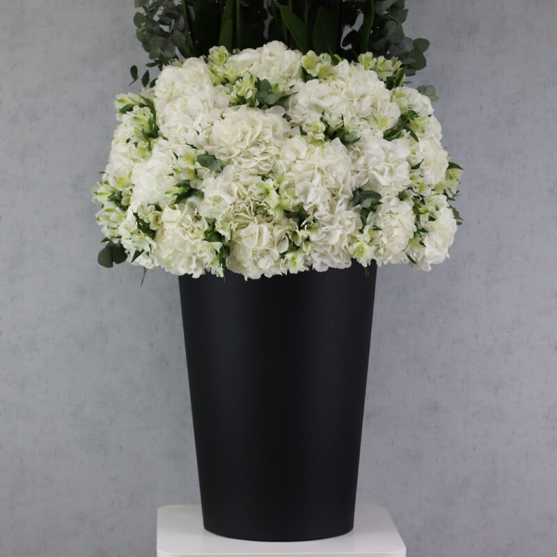 Crystal Curiosity White XL - Image 3