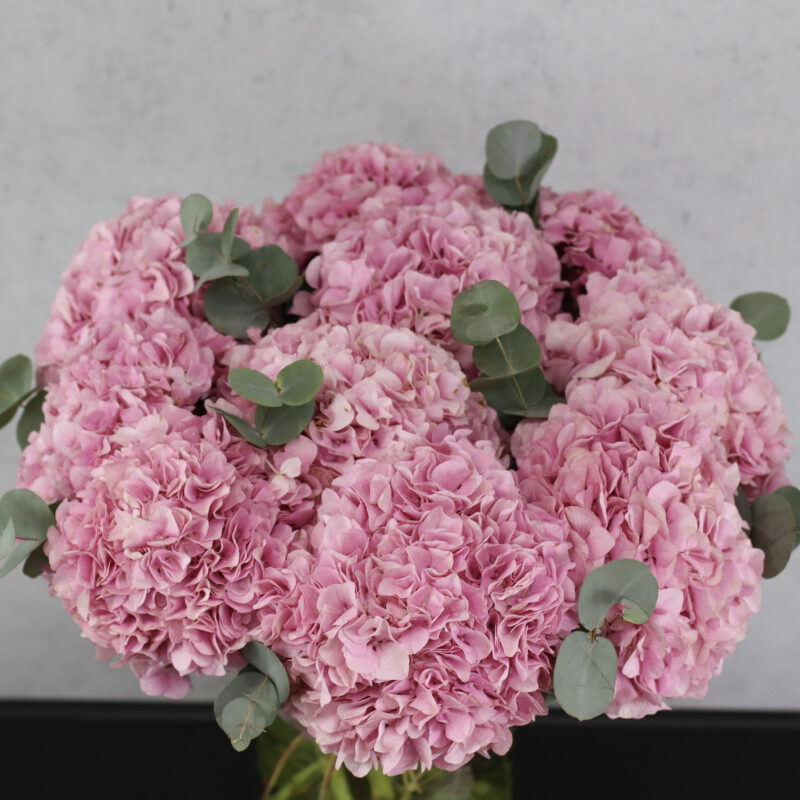 Sweet Fragrance - Image 2