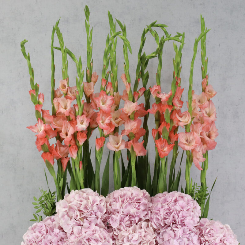 Floral Thrills - Image 2