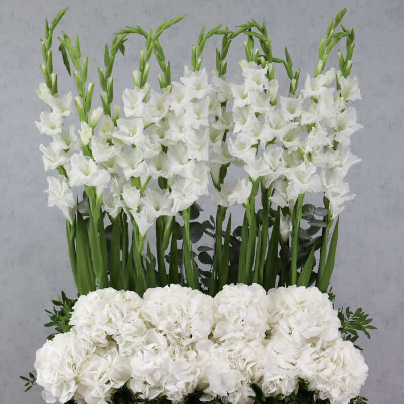 Floral Thrills White - Image 2