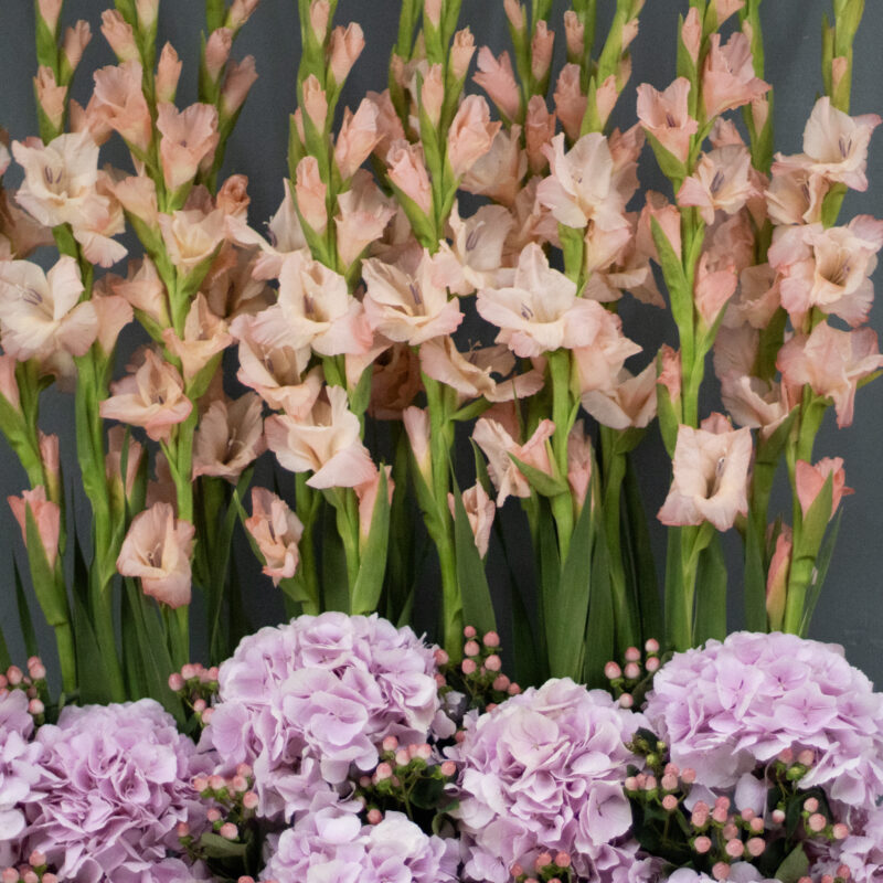 Nature Thrills Florals 3 - Image 2