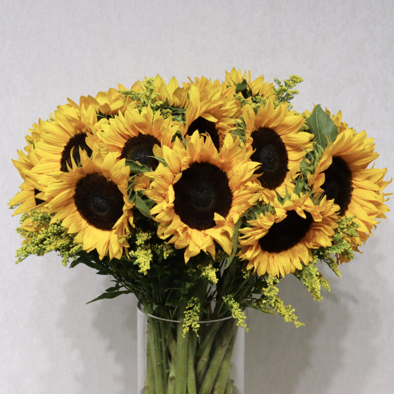 Sunny Day - Image 2