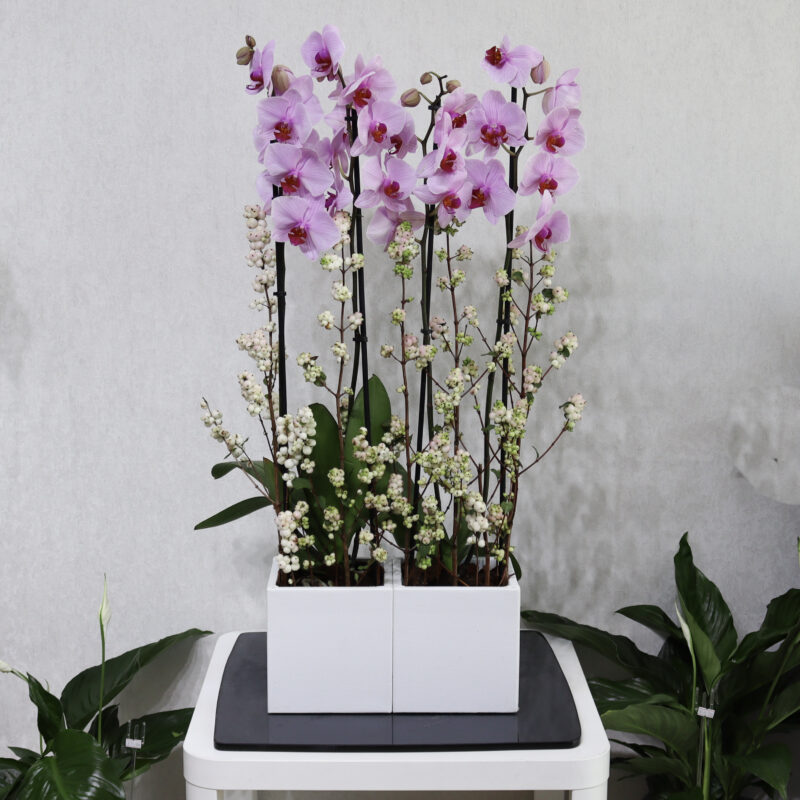 Myth Flowers Pink