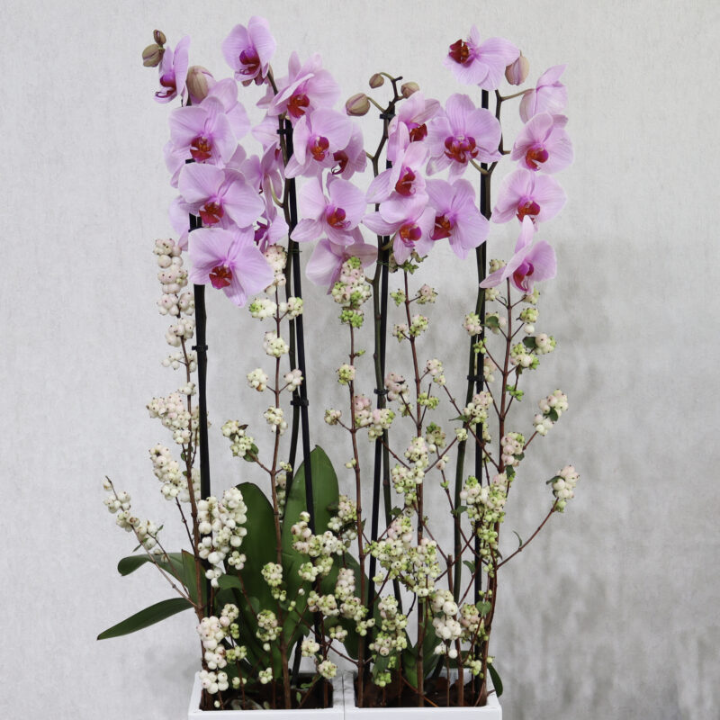 Myth Flowers Pink - Image 2