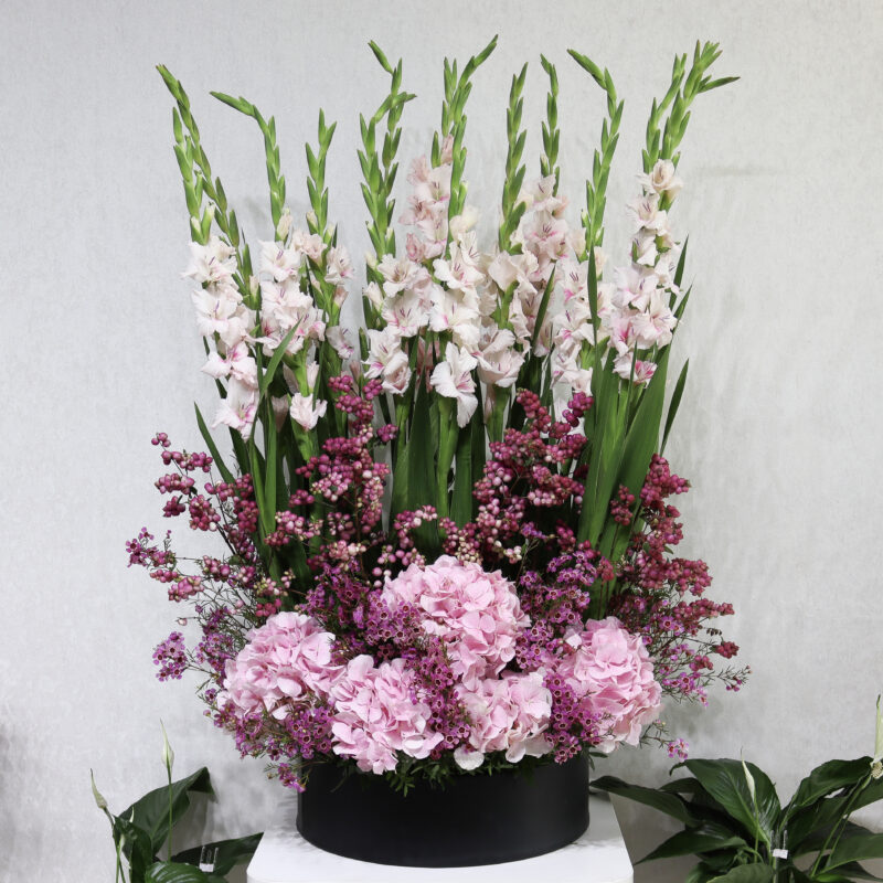 Floral Thrills Pretty