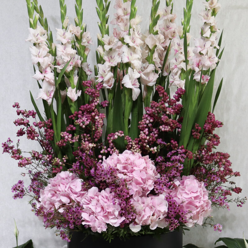 Floral Thrills Pretty - Image 2