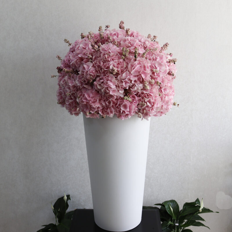 Sweet Fragrance 2.0