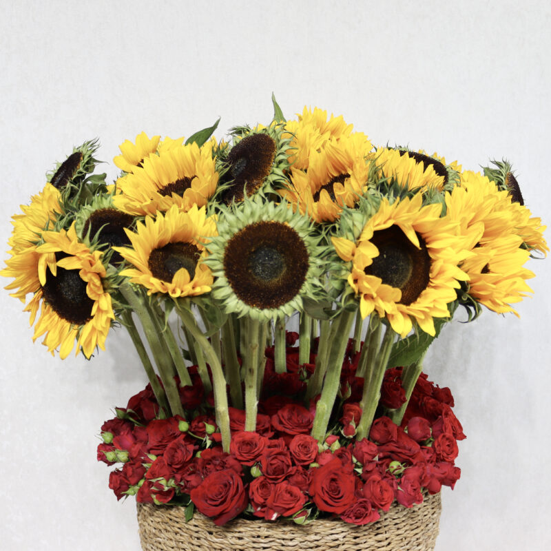 Summer Blaze - Image 2