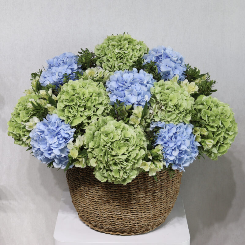 Beauty Of Garden 2.0 - Image 3