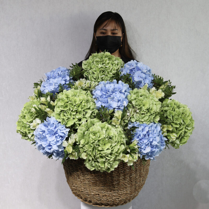 Beauty Of Garden 2.0