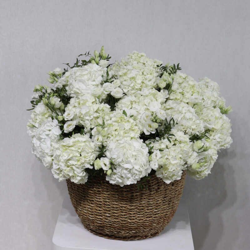 Beauty Of Garden 3.0 - Image 3
