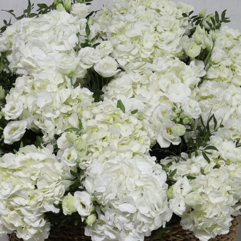 Beauty Of Garden 3.0 - Image 2