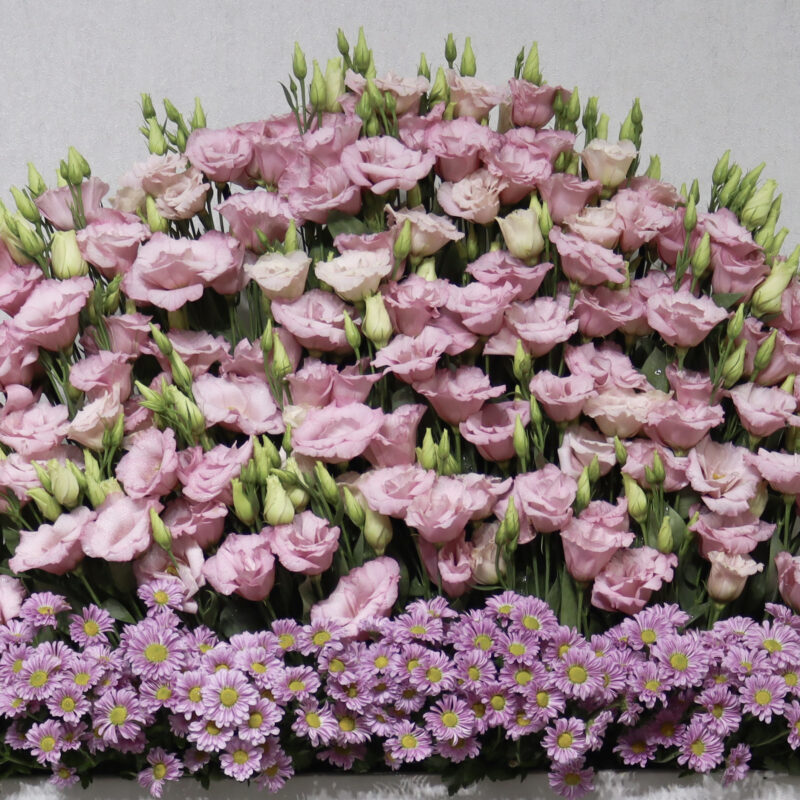 Beauty Of Garden 2.0 - Image 2