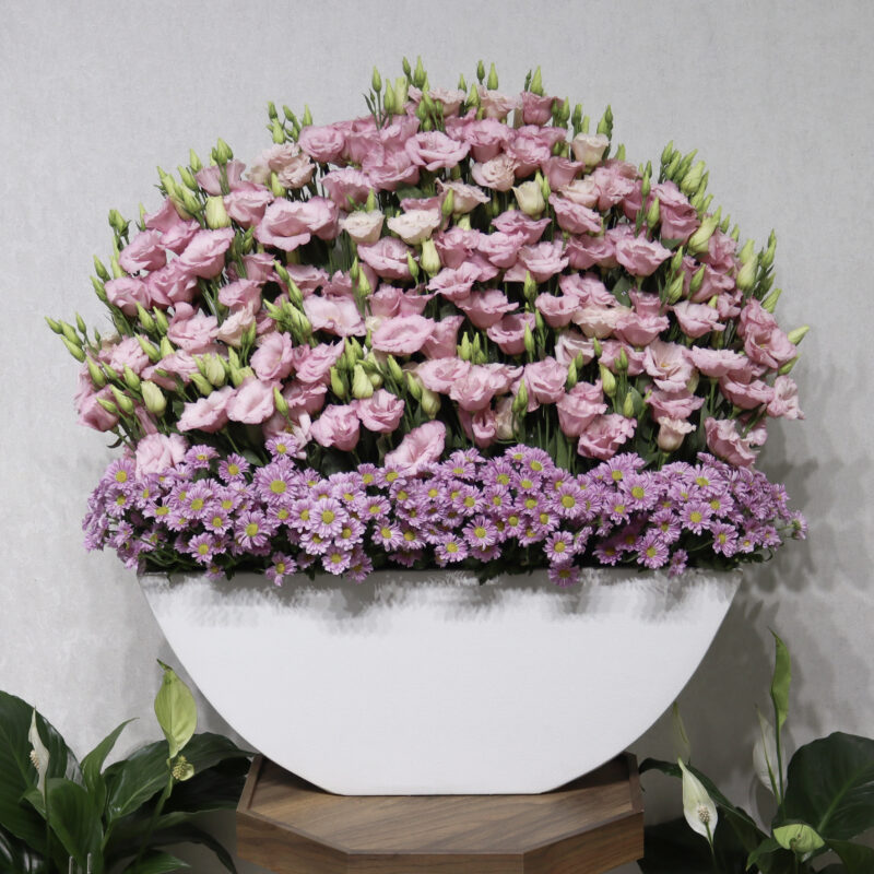 Beauty Of Garden 2.0