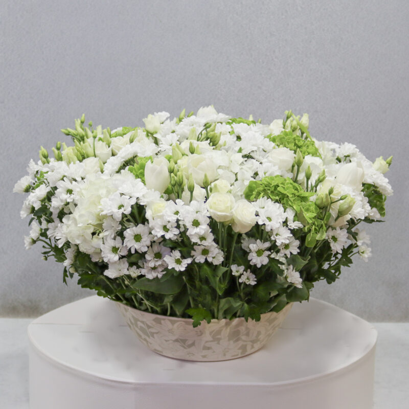 Passion White