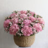 Beauty Garden Pink
