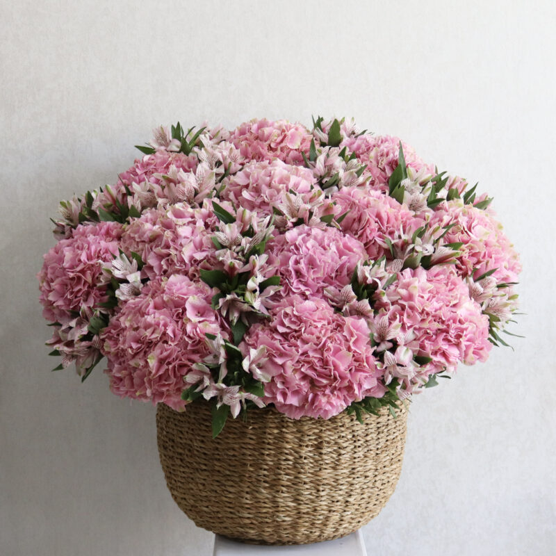 Beauty Garden Pink