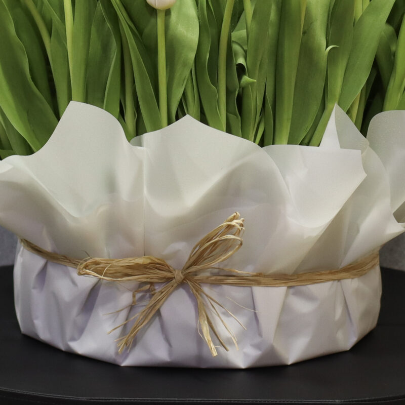 Special pink Tulip - Image 3