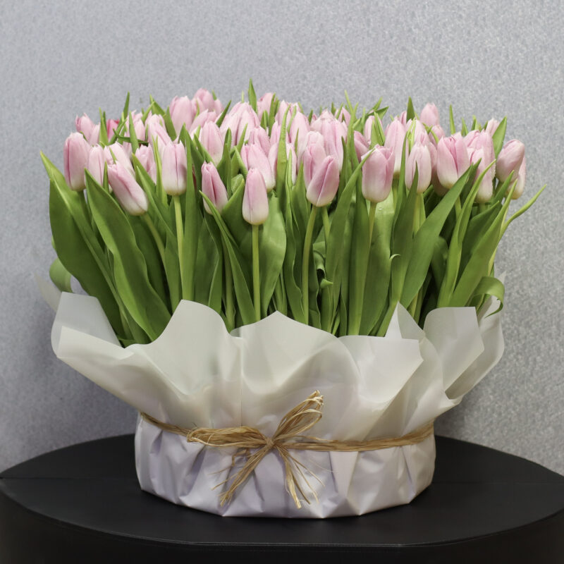Special pink Tulip