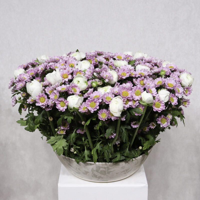 Glowing Ranunculus