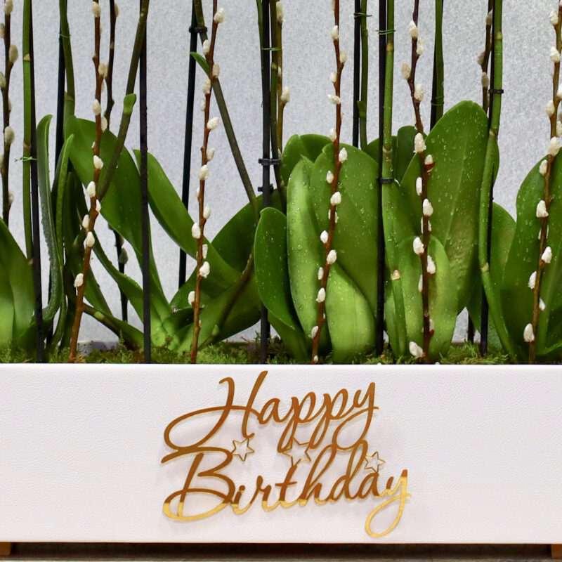 Fancy Orchids - Image 2