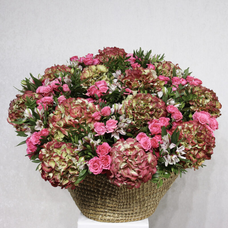 Beauty Garden Star