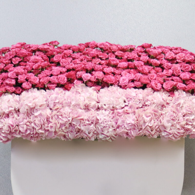 Premium Pink - Image 2