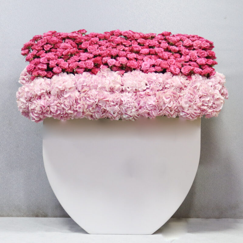 Premium Pink