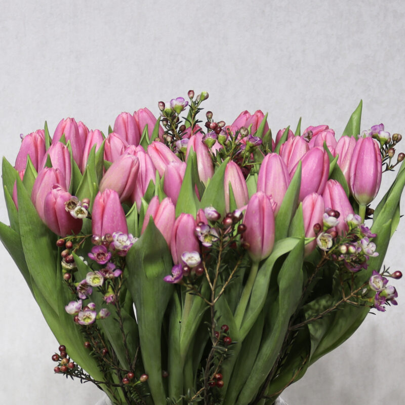 Love Pink - Image 2