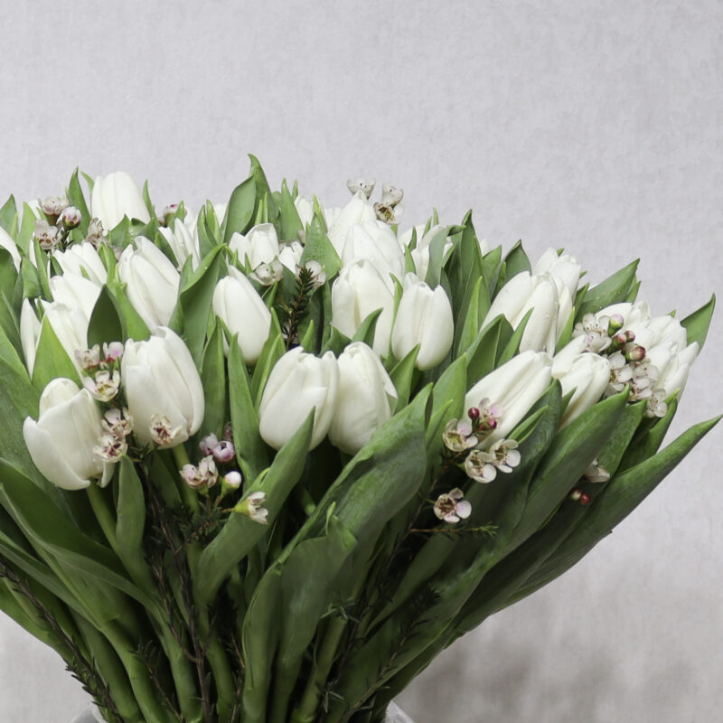 love White - Image 2