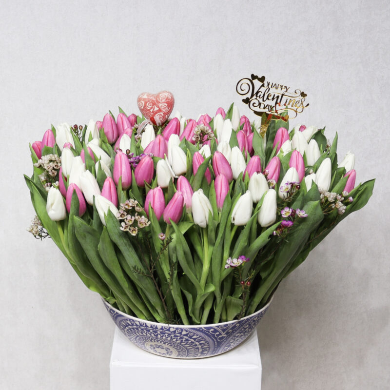 Surprises Tulips