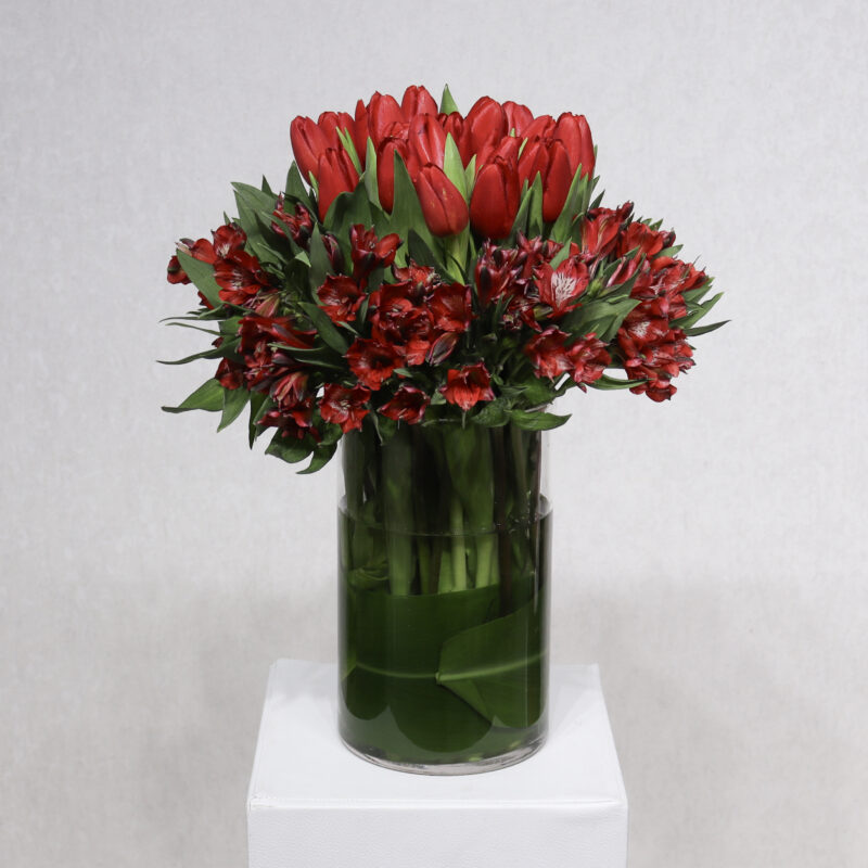 Ossam Bloom Red tulip