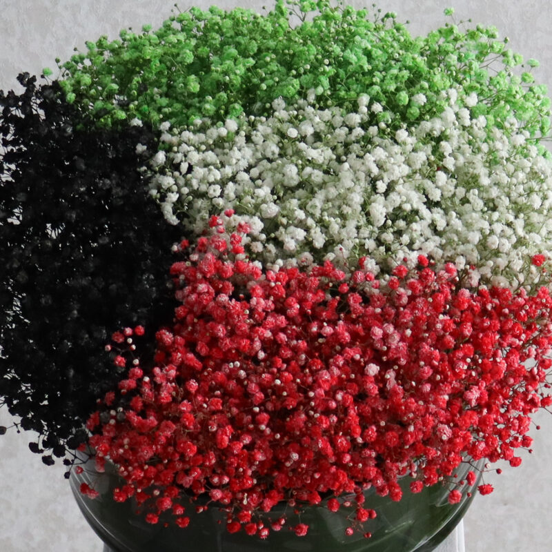 For Kuwait - Image 2