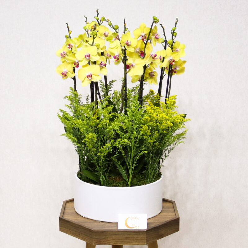 Gold Blooms