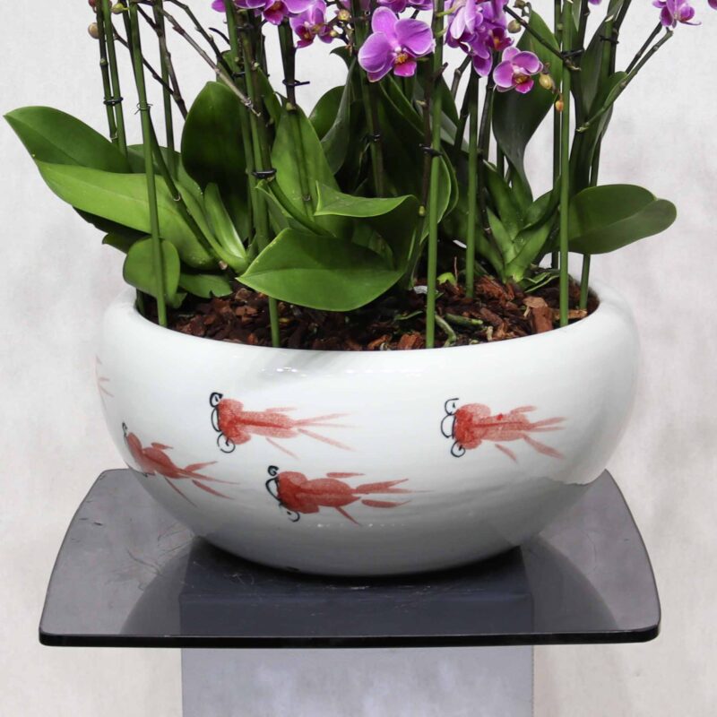 Upscale Mini Orchids - Image 3