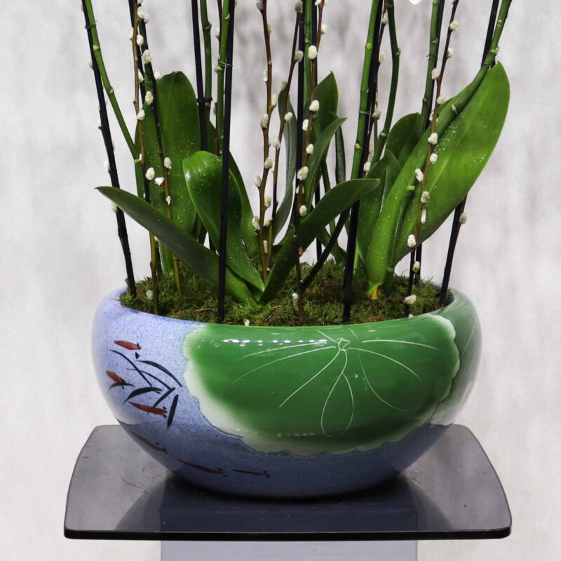 Prestige Orchids - Image 3
