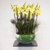 Yellow & Green