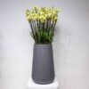 Blooming Yellow