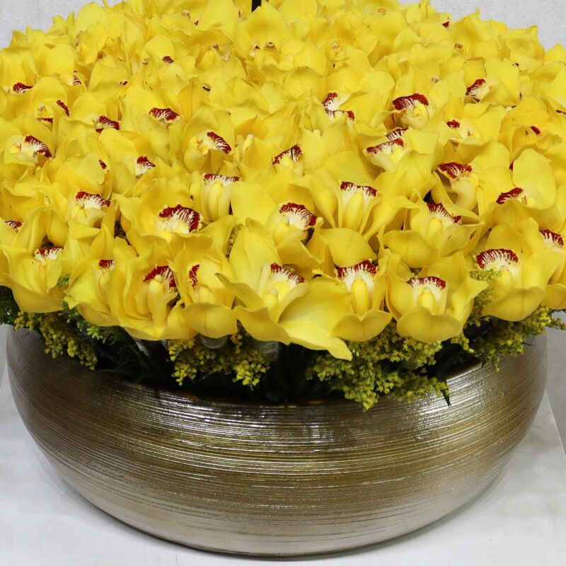 Cymbidium Bloom - Image 2
