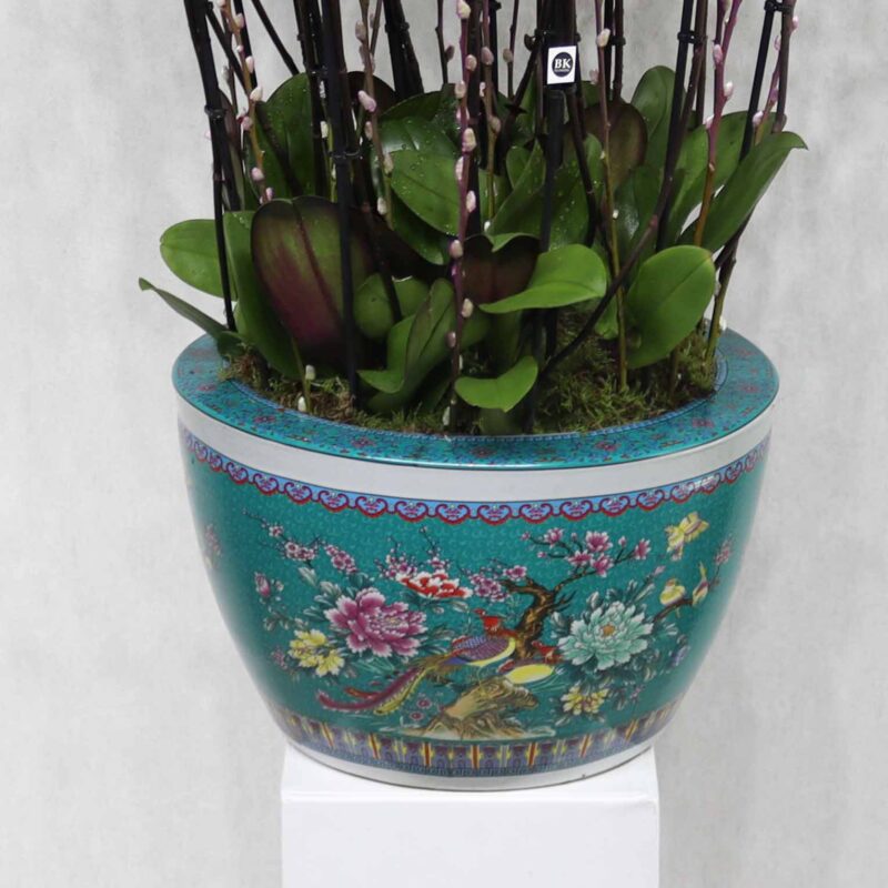 Royal Orchid Bloom - Image 3