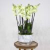 Bloom For Mom