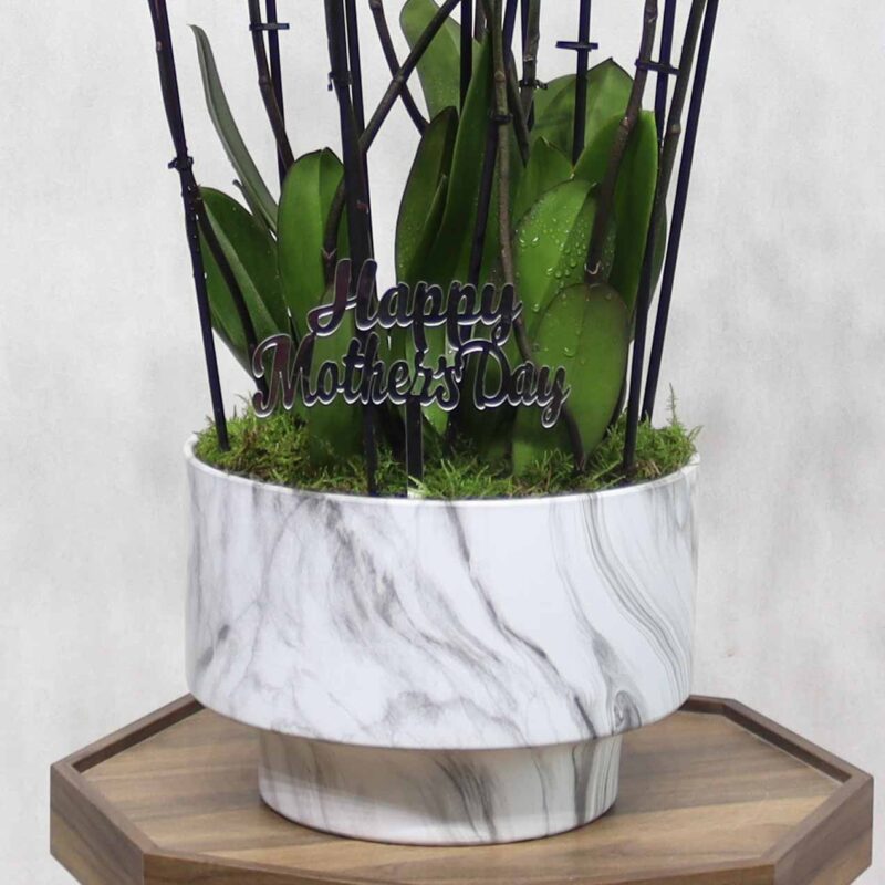 Bloom For Mom - Image 3